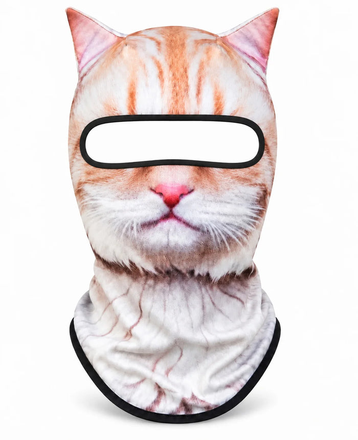 Gato Gaton